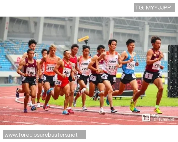 杭州排球队在大师赛中的耐力表现分析与总结