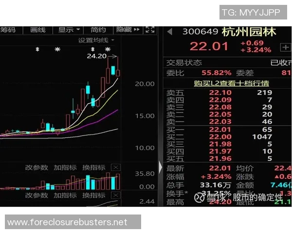 深圳与杭州足球队赛后复盘分析精彩配合与战术执行的关键因素
