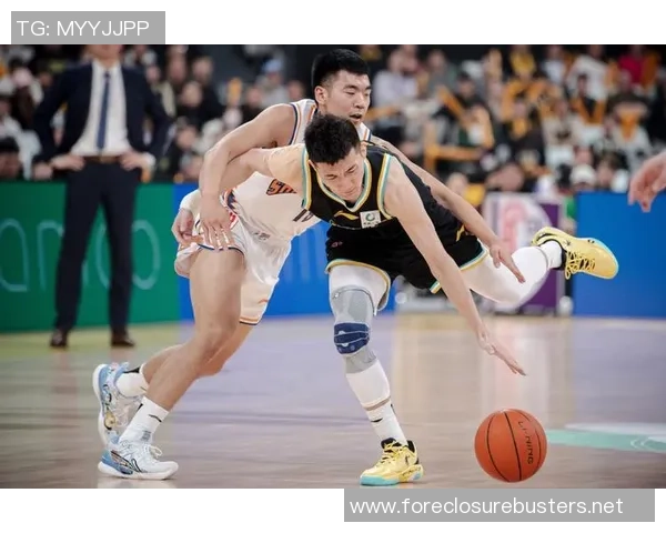 2026篮球比赛经验排行榜：上海篮球队位居第2名