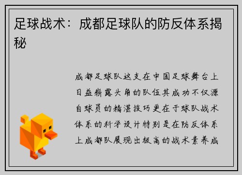 足球战术：成都足球队的防反体系揭秘